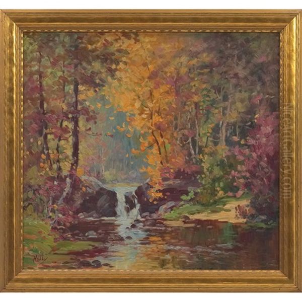 Forest Stream - view 1