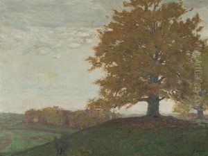 Grauer Tag Im Herbste