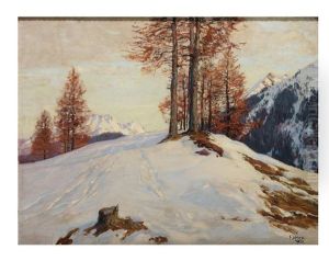 Larchen Im Schnee
