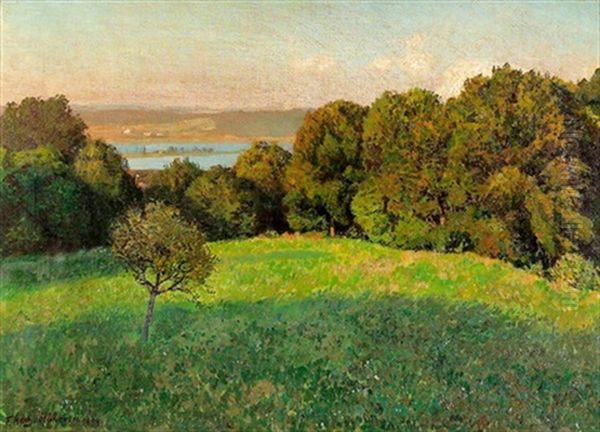 Sonnige Wiesenlandschaft - view 1