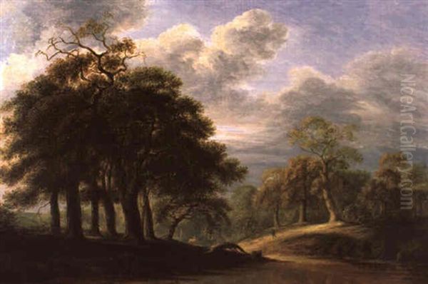 Grose Bewaldete Fluslandschaft - view 1