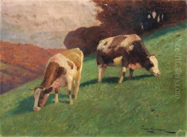 Grasende Kuhe - view 1