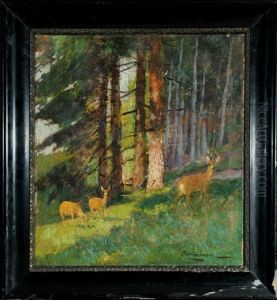 Rehe Im Bergwald