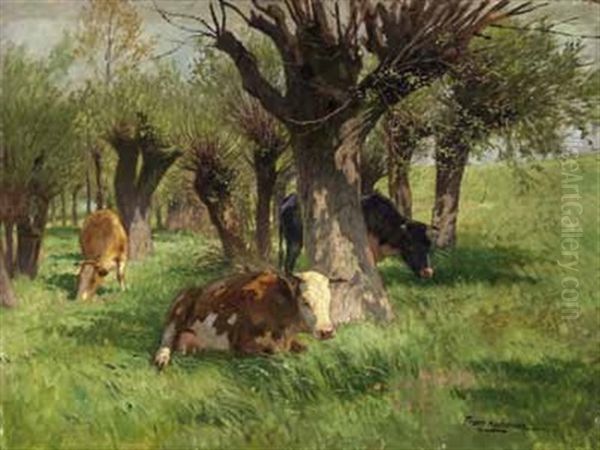 Liegendes Weidevieh In Sommerlandschaft - view 1