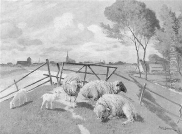 Schafe Mit Lammchen Auf Dem Deich (luhedeich Bei Stade) - view 1