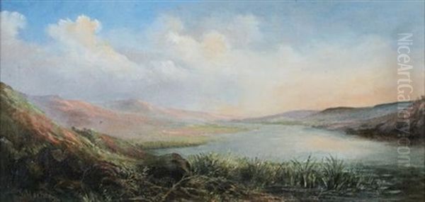 Lake Landscape In Summer - view 1