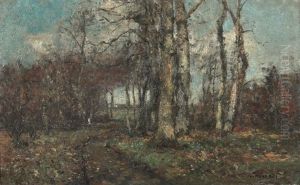Waldweg Waldweg