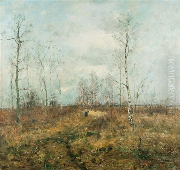 Landscape - view 1