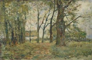 On The Edge Of The Forest