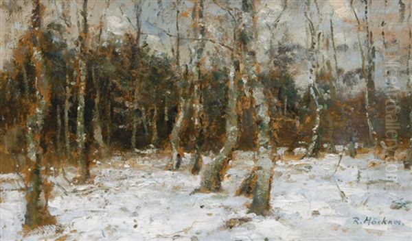 Birch Forest In The Winter - view 1