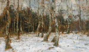 Birch Forest In The Winter