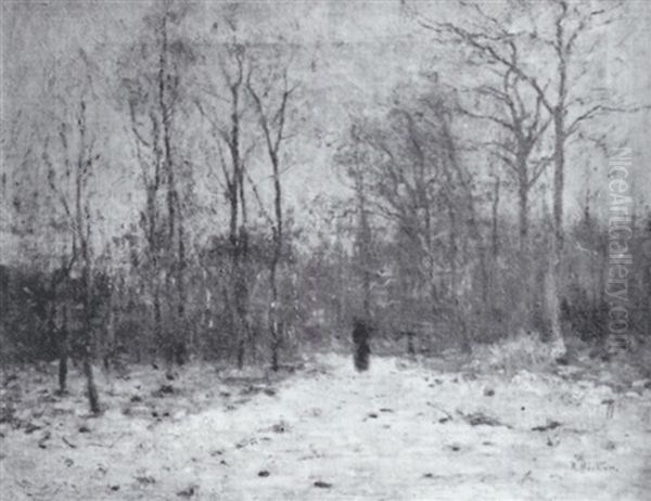 Weg Am Winterlichen Wald - view 1