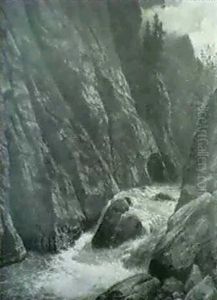 Wildbach In Einer Felsschlucht