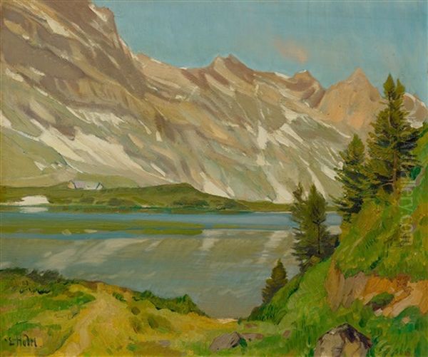 Mountain Lake In The Alps - view 1