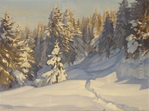 Sonniger Wintertag - view 1