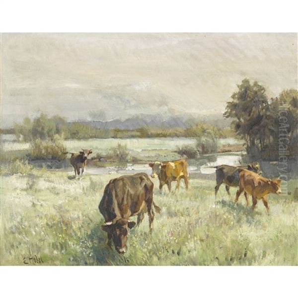 Weidende Kuhherde - view 1