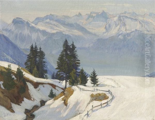 Sonniger Wintertag - view 1