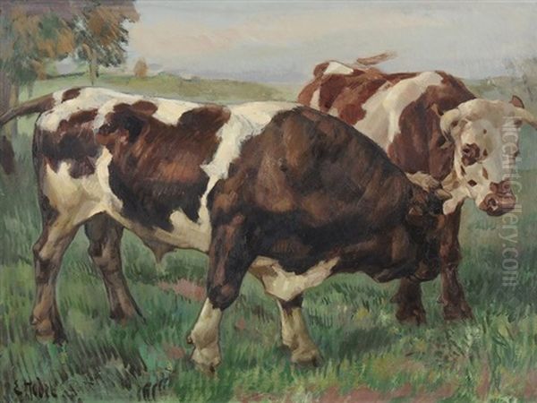 Kuh Und Stier Auf Der Weide - view 1