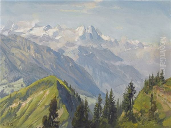 Sommerliche Gebirgslandschaft - view 1