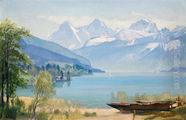 Lac De Montagne - view 1