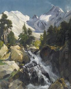 Sommerliche Ansicht Von Der Bernina Im Engadin