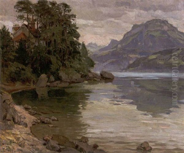 Schweizer Seelandschaft - view 1