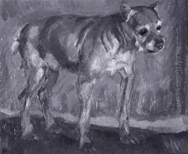 Pinscher - view 1