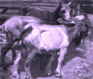 Ziegen by Ernst Hodel the Younger