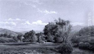 Hay Fields