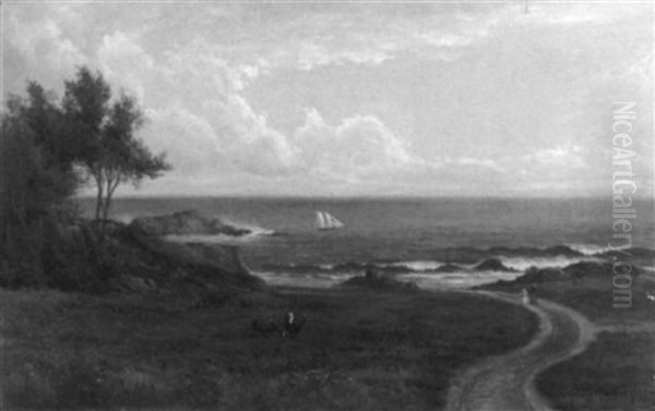 Path To The Coast - view 1