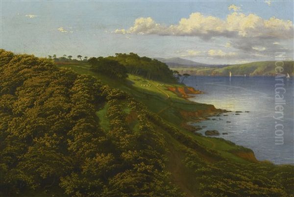 View Of The Country Near Mount Edgecumbe, England - view 1