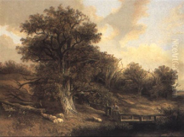 In Kimberley Park, Norfolk - view 1