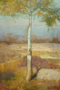 Einsamer Baum Einsamer Baum