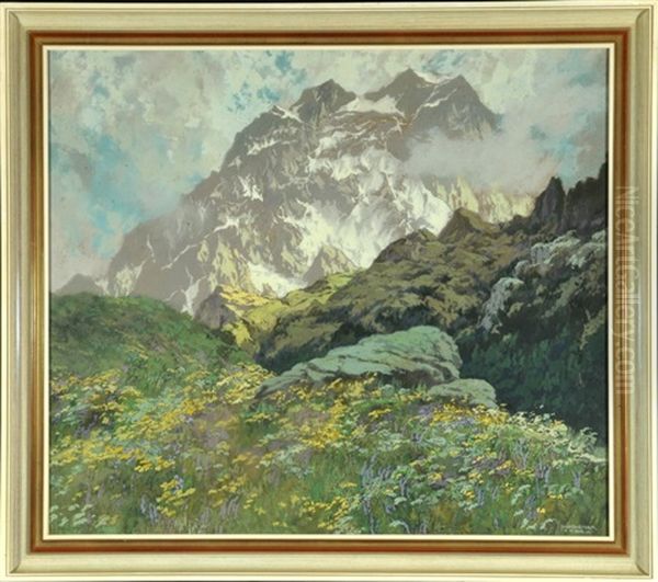 Berggipfel Mit Bluhender Bergwiese - view 1