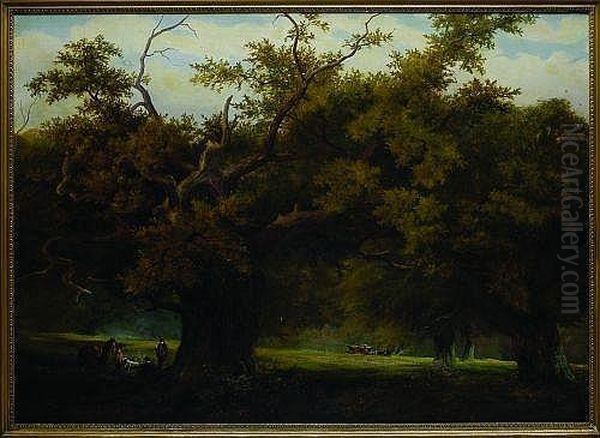 Hawkstone Park Shropshire - view 1
