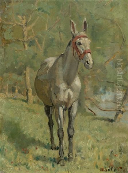 Mule In A Spanish Landscape - view 1
