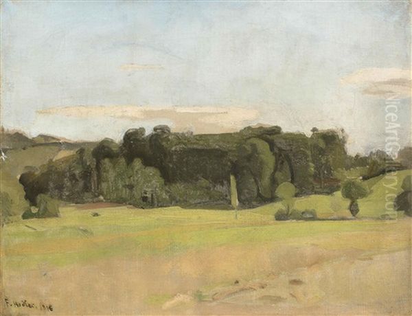 Der Hain - view 1