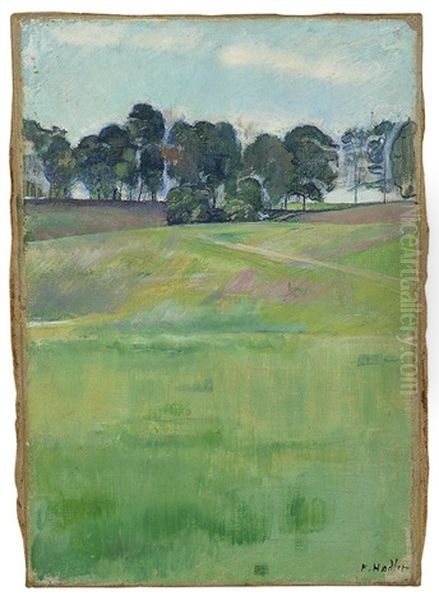 Wiesenlandschaft Mit Baumreihe - view 1