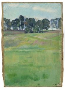 Wiesenlandschaft Mit Baumreihe Wiesenlandschaft Mit Baumreihe