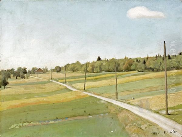 Feldweg Mit Telegrafenmasten - view 1