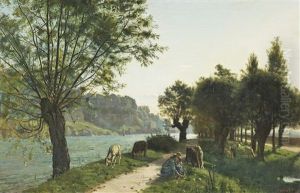 Schafe Am Sentier Des Saules