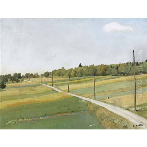Feldweg Mit Telegrafenmasten - view 1