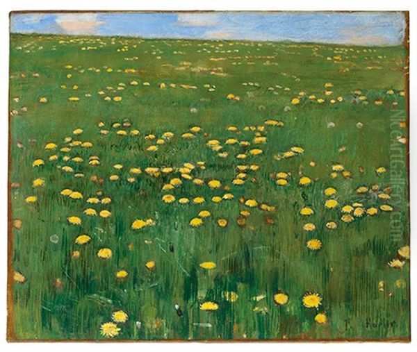 Die Blumenwiese - view 1