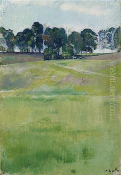 Wiesenlandschaft Mit Baumreihe - view 1