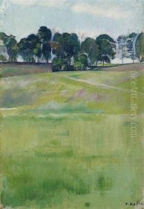 Wiesenlandschaft Mit Baumreihe Wiesenlandschaft Mit Baumreihe