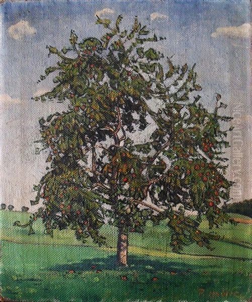 Baum - view 1