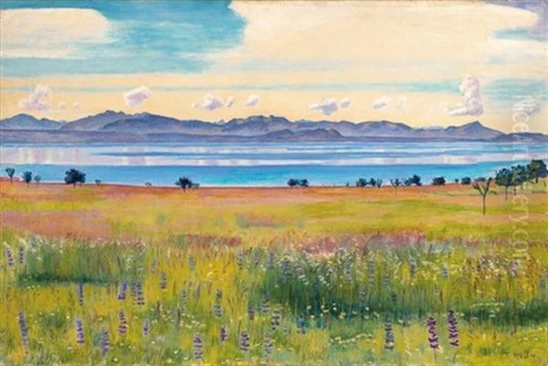 Der Genfersee Von Saint-prex Aus - view 1