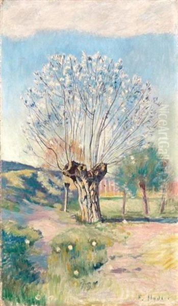 Weidenbaum - view 1