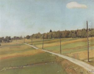 Feldweg Mit Telegraphenmasten