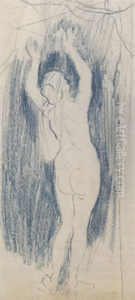 Stehender Weiblicher Akt, Ruckenansicht - view 1